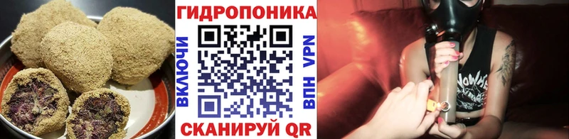Купить  Кохма  Cannafood марихуана 