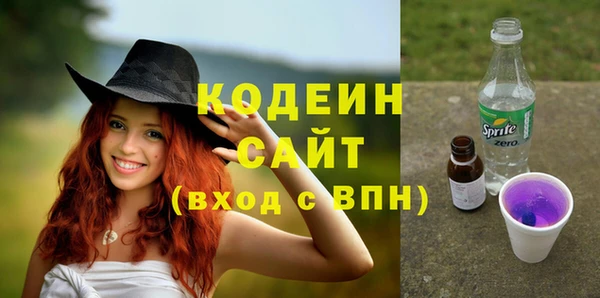 гидра Инта