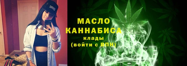 гидра Инта