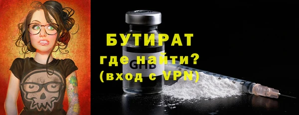 гидра Инта