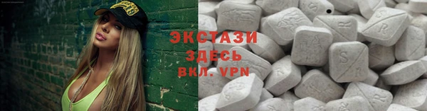гидра Инта