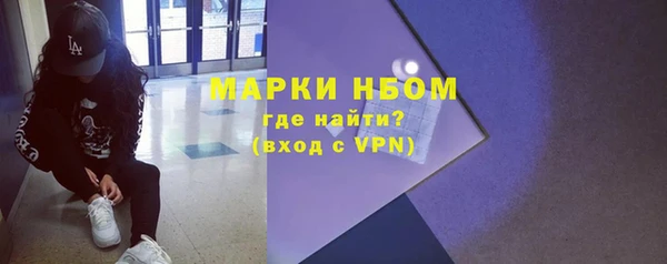 гидра Инта