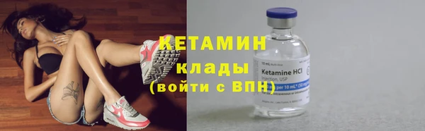 гидра Инта