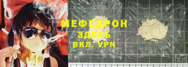 гидра Инта