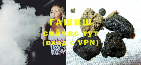 гидра Инта