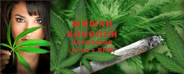 гидра Инта