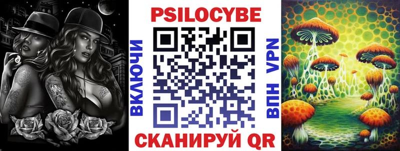 Купить закладки  Кохма  Псилоцибиновые грибы MAGIC MUSHROOMS 
